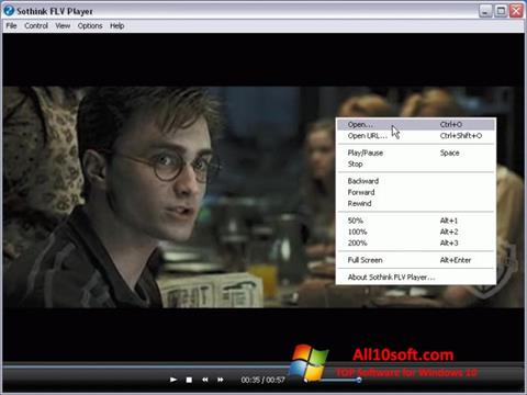 સ્ક્રીનશૉટ FLV Player Windows 10