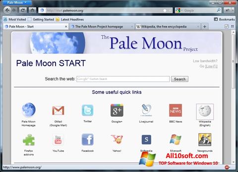 સ્ક્રીનશૉટ Pale Moon Windows 10