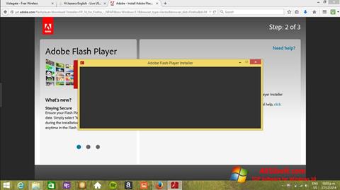 સ્ક્રીનશૉટ Adobe Flash Player Windows 10